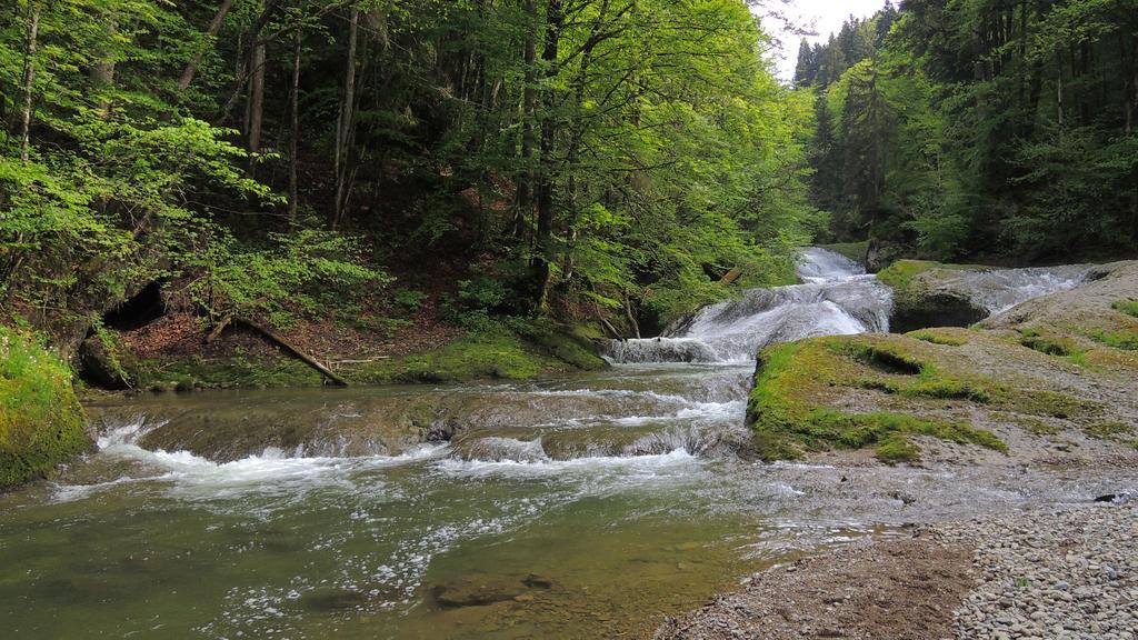 Oberallgaeu * Missen-Wilhams
